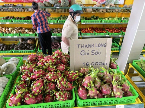 Nhà bán lẻ giải quyết đầu ra cho nông dân Đồng Tháp, Long An - Ảnh 1. Nhà bán lẻ giải quyết đầu ra cho nông dân Đồng Tháp, Long An - Ảnh 1.