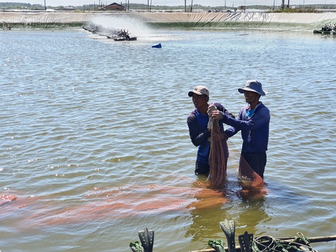 Nếu dịch kéo dài thêm nữa, không biết doanh nghiệp kham nổi được bao lâu - Ảnh 1. Nếu dịch kéo dài thêm nữa, không biết doanh nghiệp kham nổi được bao lâu - Ảnh 1.