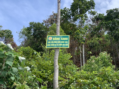Lâm tặc làm đường, vào rừng phòng hộ đốn cây - Ảnh 5. Lâm tặc làm đường, vào rừng phòng hộ đốn cây - Ảnh 5.