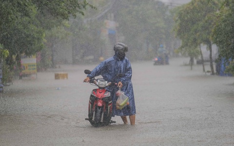 da nang da nang