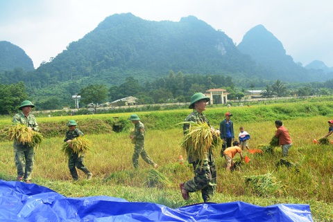Chống bão số 5: Huế hạn chế dân ra đường, Nghệ An sơ tán dân đến nơi an toàn - Ảnh 4. Chống bão số 5: Huế hạn chế dân ra đường, Nghệ An sơ tán dân đến nơi an toàn - Ảnh 4.