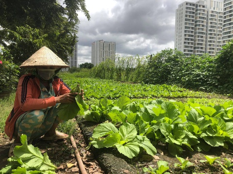 Cậy láng giềng gần - Ảnh 2. Cậy láng giềng gần - Ảnh 2.