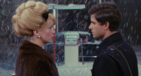 The Umbrellas Of Cherbourg: Tình yêu đã đi đâu? - Ảnh 4. The Umbrellas Of Cherbourg: Tình yêu đã đi đâu? - Ảnh 4.