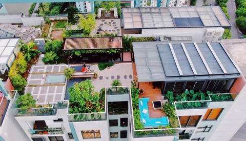 Giám đốc 8X nghỉ hưu, về trồng cây nuôi cá ở Ecopark - Ảnh 3. Giám đốc 8X nghỉ hưu, về trồng cây nuôi cá ở Ecopark - Ảnh 3.