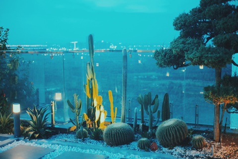 Giám đốc 8X nghỉ hưu, về trồng cây nuôi cá ở Ecopark - Ảnh 5. Giám đốc 8X nghỉ hưu, về trồng cây nuôi cá ở Ecopark - Ảnh 5.