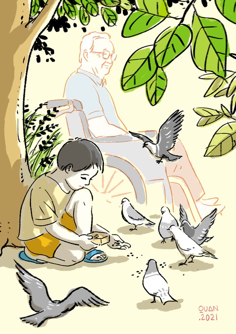 Truyện ngắn: Bầy chim câu trong hẻm nhỏ - Ảnh 1. Truyện ngắn: Bầy chim câu trong hẻm nhỏ - Ảnh 1.