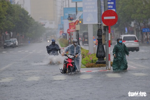 Mưa ngập nội thành, người dân Đà Nẵng ra đường bắt cá - Ảnh 3. Mưa ngập nội thành, người dân Đà Nẵng ra đường bắt cá - Ảnh 3.