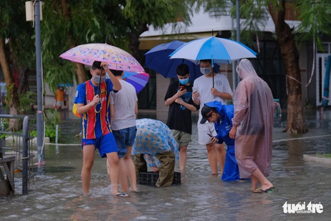 Mưa ngập nội thành, người dân Đà Nẵng ra đường bắt cá - Ảnh 5. Mưa ngập nội thành, người dân Đà Nẵng ra đường bắt cá - Ảnh 5.