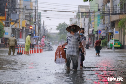 Mưa ngập nội thành, người dân Đà Nẵng ra đường bắt cá - Ảnh 1. Mưa ngập nội thành, người dân Đà Nẵng ra đường bắt cá - Ảnh 1.