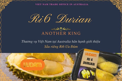Sầu riêng Ri6 của Việt Nam chiếm lĩnh thị trường Úc - Ảnh 1. Sầu riêng Ri6 của Việt Nam chiếm lĩnh thị trường Úc - Ảnh 1.