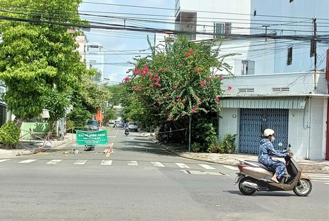 Vùng xanh lan rộng nhanh đến hơn 88% thôn, tổ dân phố ở Nha Trang - Ảnh 1. Vùng xanh lan rộng nhanh đến hơn 88% thôn, tổ dân phố ở Nha Trang - Ảnh 1.