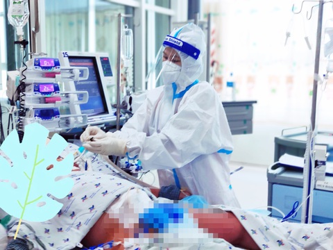 Vừa hết COVID-19, bé gái 6 tuổi bị sốc sốt xuất huyết nặng, suy hô hấp - Ảnh 1. Vừa hết COVID-19, bé gái 6 tuổi bị sốc sốt xuất huyết nặng, suy hô hấp - Ảnh 1.