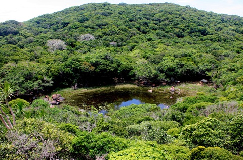 Trên Núi Chúa có núi Chúa Em và núi Chúa Anh - Ảnh 4. Trên Núi Chúa có núi Chúa Em và núi Chúa Anh - Ảnh 4.