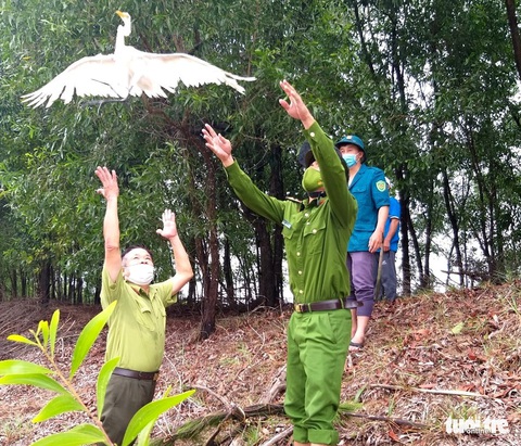 Ngăn chặn nạn săn bắt, trả lại bình yên cho đàn chim trời mùa di cư - Ảnh 4. Ngăn chặn nạn săn bắt, trả lại bình yên cho đàn chim trời mùa di cư - Ảnh 4.