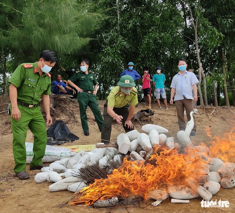 Ngăn chặn nạn săn bắt, trả lại bình yên cho đàn chim trời mùa di cư - Ảnh 3. Ngăn chặn nạn săn bắt, trả lại bình yên cho đàn chim trời mùa di cư - Ảnh 3.