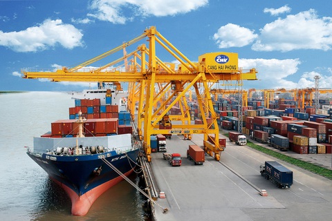 Tiêm vắc xin ngừa COVID-19 cho thuyền viên là vấn đề cấp bách - Ảnh 1. Tiêm vắc xin ngừa COVID-19 cho thuyền viên là vấn đề cấp bách - Ảnh 1.