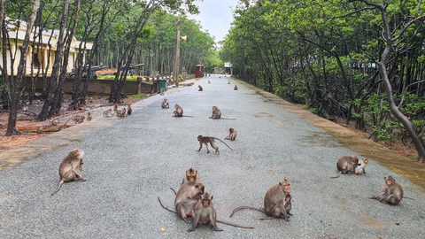 Saigontourist Group tài trợ tour tri ân lực lượng tuyến đầu phòng chống dịch - Ảnh 3. Saigontourist Group tài trợ tour tri ân lực lượng tuyến đầu phòng chống dịch - Ảnh 3.