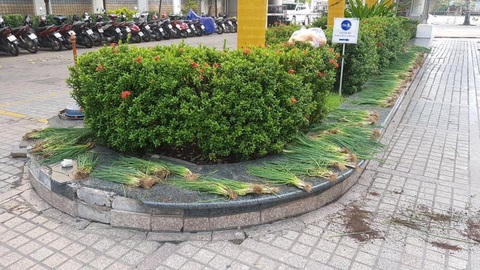 Em tặng chị ký gạo nấu sà bì chưởng, những ngày khó khăn mà quá đỗi dễ thương! - Ảnh 1. Em tặng chị ký gạo nấu sà bì chưởng, những ngày khó khăn mà quá đỗi dễ thương! - Ảnh 1.