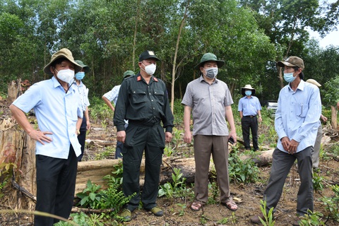 ‘Đốn rừng phòng hộ đầu nguồn để trồng keo’: Điều tra có hay không người đứng sau - Ảnh 1. ‘Đốn rừng phòng hộ đầu nguồn để trồng keo’: Điều tra có hay không người đứng sau - Ảnh 1.