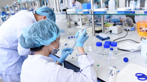 Vắc xin Nano Covax trước giờ G - Ảnh 1. Vắc xin Nano Covax trước giờ G - Ảnh 1.