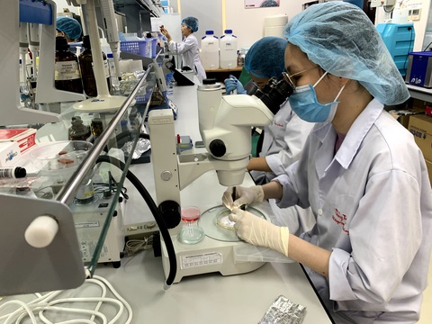 ĐH Quốc gia TP.HCM vô top 200 thế giới về chất lượng đầu ra cựu sinh viên - Ảnh 1. ĐH Quốc gia TP.HCM vô top 200 thế giới về chất lượng đầu ra cựu sinh viên - Ảnh 1.