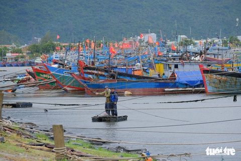 Ngư dân Đà Nẵng mang tàu thuyền lên đường, néo vô cây... đề phòng bão số 6 - Ảnh 2. Ngư dân Đà Nẵng mang tàu thuyền lên đường, néo vô cây... đề phòng bão số 6 - Ảnh 2.