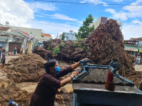 Di dời cụ đa 200 tuổi nặng trên 120 tấn - Ảnh 4. Di dời cụ đa 200 tuổi nặng trên 120 tấn - Ảnh 4.