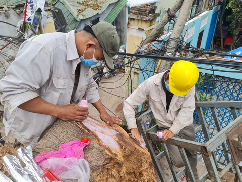 Di dời cụ đa 200 tuổi nặng trên 120 tấn - Ảnh 3. Di dời cụ đa 200 tuổi nặng trên 120 tấn - Ảnh 3.
