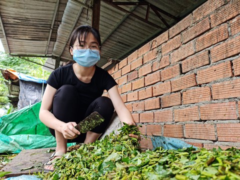 Bệnh ung thư không làm nản lòng bước chân vào đại học - Ảnh 3. Bệnh ung thư không làm nản lòng bước chân vào đại học - Ảnh 3.