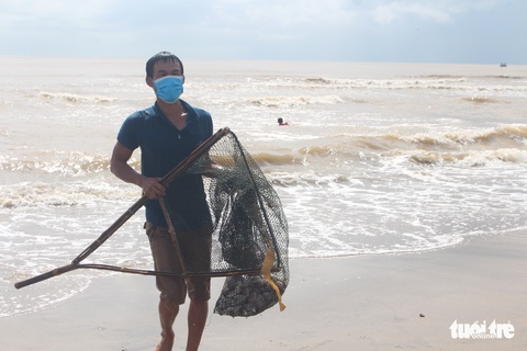 Cả trăm người đi vớt ‘lộc biển’ dạt vào bờ sau mưa bão - Ảnh 3. Cả trăm người đi vớt ‘lộc biển’ dạt vào bờ sau mưa bão - Ảnh 3.