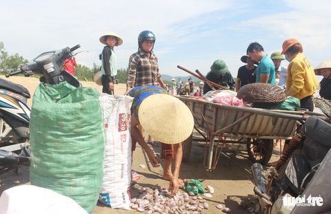 Cả trăm người đi vớt ‘lộc biển’ dạt vào bờ sau mưa bão - Ảnh 4. Cả trăm người đi vớt ‘lộc biển’ dạt vào bờ sau mưa bão - Ảnh 4.