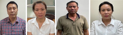 Bộ Công an bắt thêm giám đốc trong vụ nâng khống giá cây xanh - Ảnh 1.