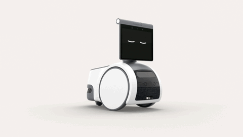 Amazon lấn sân sang mảng robot di động - Ảnh 2. Amazon lấn sân sang mảng robot di động - Ảnh 2.