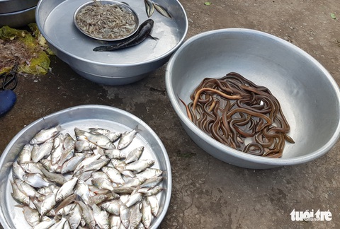 Nước phù sa cuồn cuộn trên kênh Vĩnh Tế nhưng lũ dự báo về trễ hơn 1 tháng - Ảnh 3. Nước phù sa cuồn cuộn trên kênh Vĩnh Tế nhưng lũ dự báo về trễ hơn 1 tháng - Ảnh 3.