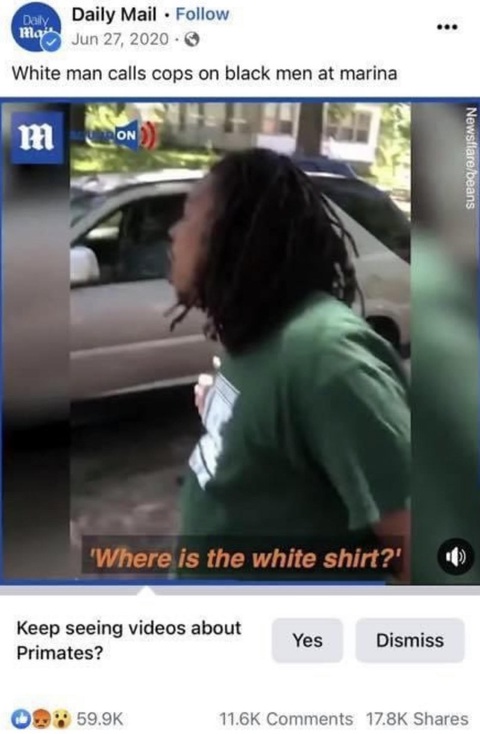 Facebook xin lỗi vì dán nhãn video người da màu là động vật linh trưởng - Ảnh 1. Facebook xin lỗi vì dán nhãn video người da màu là động vật linh trưởng - Ảnh 1.