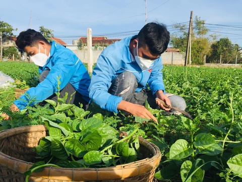 Ngày nấu cơm yêu thương, tối làm shipper 0 đồng - Ảnh 5. Ngày nấu cơm yêu thương, tối làm shipper 0 đồng - Ảnh 5.