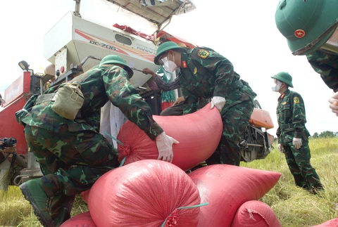 Bộ đội về thôn quê giúp nông dân vác lúa, bắt cá, giao sách giáo khoa cho học sinh - Ảnh 1. Bộ đội về thôn quê giúp nông dân vác lúa, bắt cá, giao sách giáo khoa cho học sinh - Ảnh 1.