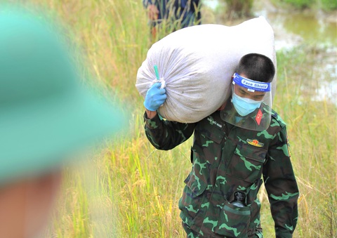 Bộ đội về thôn quê giúp nông dân vác lúa, bắt cá, giao sách giáo khoa cho học sinh - Ảnh 2. Bộ đội về thôn quê giúp nông dân vác lúa, bắt cá, giao sách giáo khoa cho học sinh - Ảnh 2.