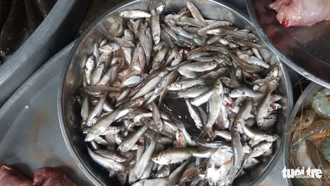 Miền Tây đã có cá linh non đầu mùa nhưng giá cao gấp đôi, đến 200.000 đồng/kg - Ảnh 1. Miền Tây đã có cá linh non đầu mùa nhưng giá cao gấp đôi, đến 200.000 đồng/kg - Ảnh 1.