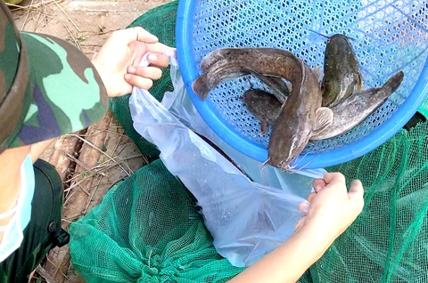 Bộ đội về thôn quê giúp nông dân vác lúa, bắt cá, giao sách giáo khoa cho học sinh - Ảnh 8. Bộ đội về thôn quê giúp nông dân vác lúa, bắt cá, giao sách giáo khoa cho học sinh - Ảnh 8.