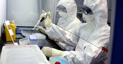 5 ca mắc Omicron nhập cảnh tại TP.HCM đều không có triệu chứng, nồng độ virus thấp - Ảnh 1. 5 ca mắc Omicron nhập cảnh tại TP.HCM đều không có triệu chứng, nồng độ virus thấp - Ảnh 1.