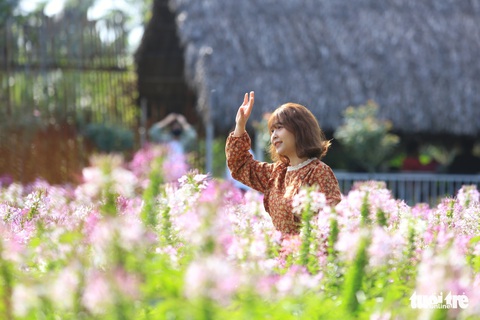 Thời tiết mát mẻ, người dân TP.HCM vui chơi, dã ngoại trong ngày đầu năm - Ảnh 8. Thời tiết mát mẻ, người dân TP.HCM vui chơi, dã ngoại trong ngày đầu năm - Ảnh 8.