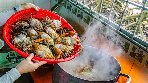 Cua Cà Mau ngoại truyện - Kỳ cuối: Cua Cà Mau về phố - Ảnh 1. Cua Cà Mau ngoại truyện - Kỳ cuối: Cua Cà Mau về phố - Ảnh 1.