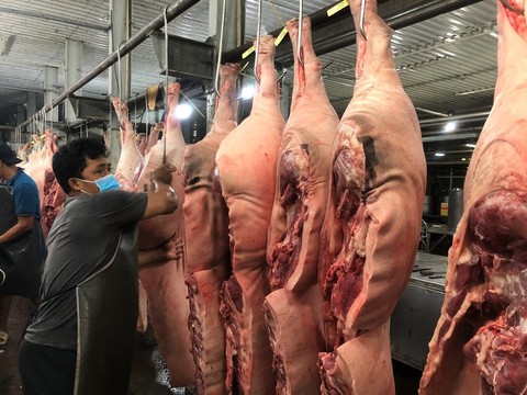 Bộ Nông nghiệp và phát triển nông thôn kiểm tra chợ đầu mối Bình Điền lúc rạng sáng - Ảnh 2. Bộ Nông nghiệp và phát triển nông thôn kiểm tra chợ đầu mối Bình Điền lúc rạng sáng - Ảnh 2.