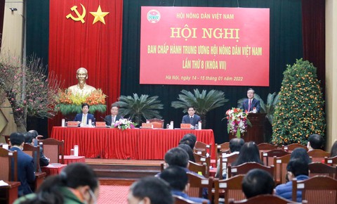 Được mùa mất giá, ùn tắc nông sản gây thiệt hại, bức xúc cho bà con - Ảnh 1. Được mùa mất giá, ùn tắc nông sản gây thiệt hại, bức xúc cho bà con - Ảnh 1.