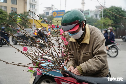 Đào hoa đã ngập phố Hà Nội, 10 người bán 1 người mua - Ảnh 7. Đào hoa đã ngập phố Hà Nội, 10 người bán 1 người mua - Ảnh 7.
