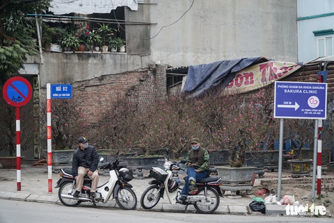 Đào hoa đã ngập phố Hà Nội, 10 người bán 1 người mua - Ảnh 9. Đào hoa đã ngập phố Hà Nội, 10 người bán 1 người mua - Ảnh 9.