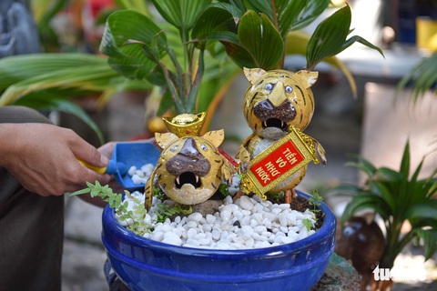 Bonsai dừa hình hổ đón Tết Nhâm Dần - Ảnh 3. Bonsai dừa hình hổ đón Tết Nhâm Dần - Ảnh 3.