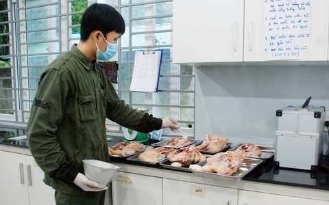 7 đại sứ hổ con ở Vườn quốc gia Pù Mát - Ảnh 4. 7 đại sứ hổ con ở Vườn quốc gia Pù Mát - Ảnh 4.