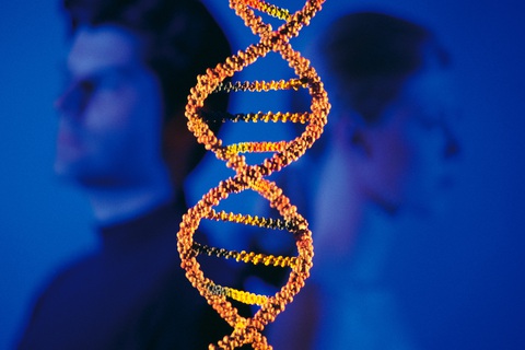 Phát hiện biến thể gene giúp ngăn COVID-19 chuyển nặng - Ảnh 1. Phát hiện biến thể gene giúp ngăn COVID-19 chuyển nặng - Ảnh 1.